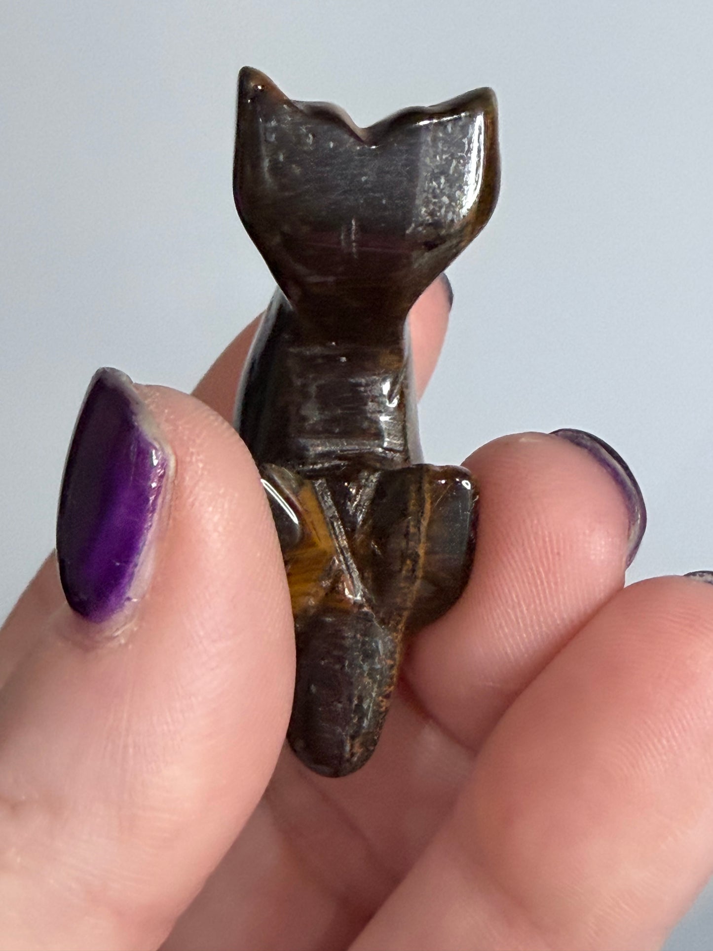 Tiger’s Eye Dolphin Carving
