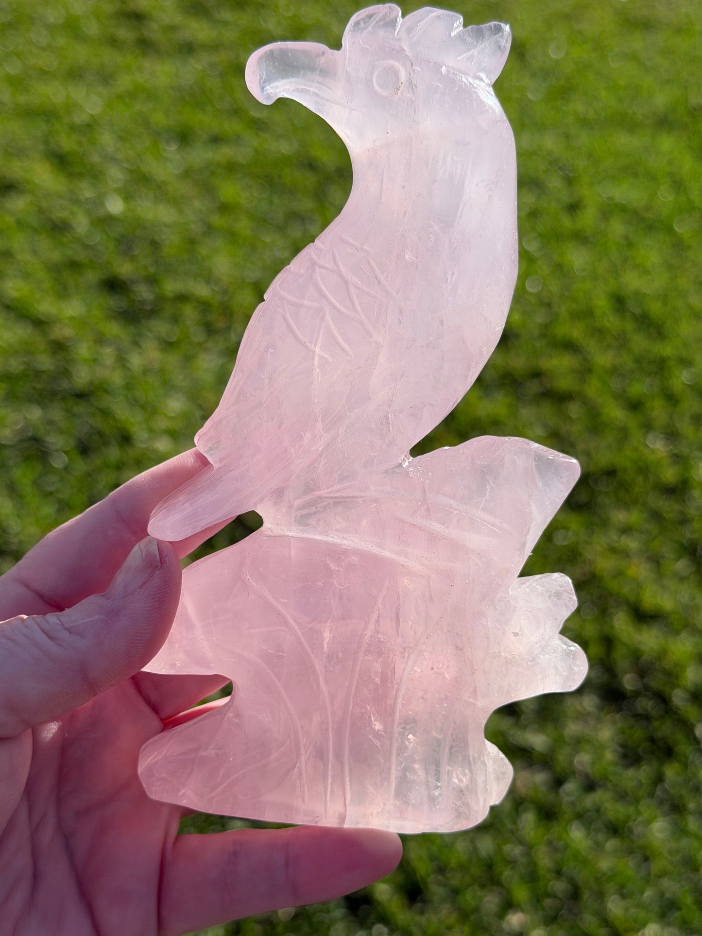 Rose Quartz Parrot Carving – 500g