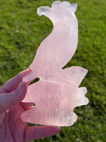Rose Quartz Parrot Carving – 500g