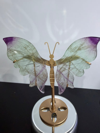 Rainbow Fluorite Butterfly Crystal Display on Stand – 15 cm