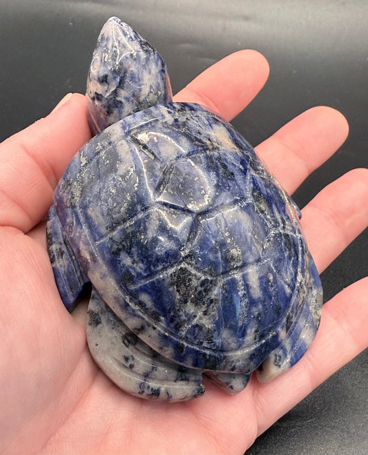 Sodalite Turtle Carving – 275g | 9.8 × 7.1cm