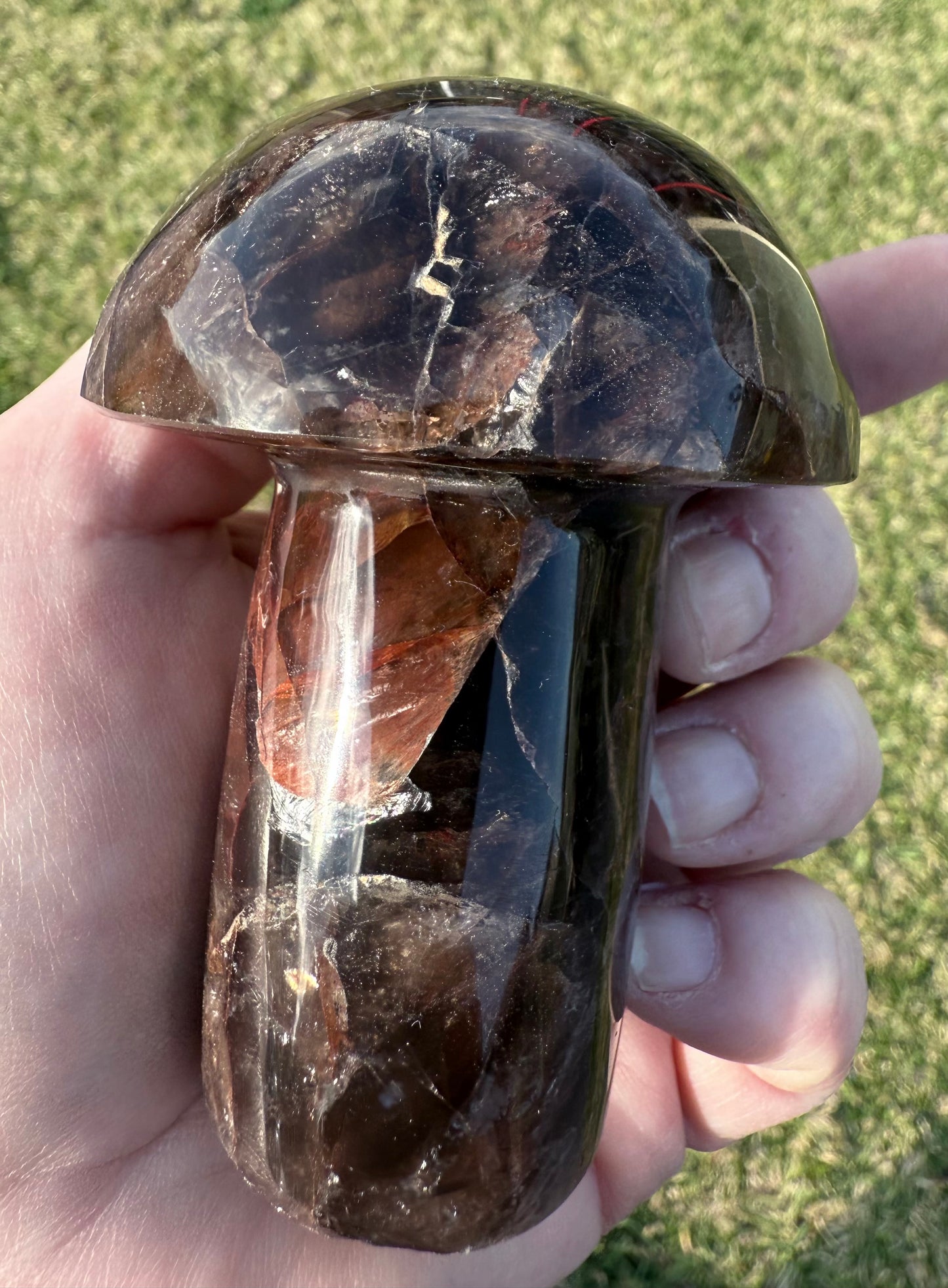 Red Fire Quartz in Smoky Quartz Mushroom
