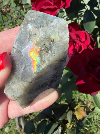 Labradorite Crystal Freeform – Rainbow Flash | 159g E