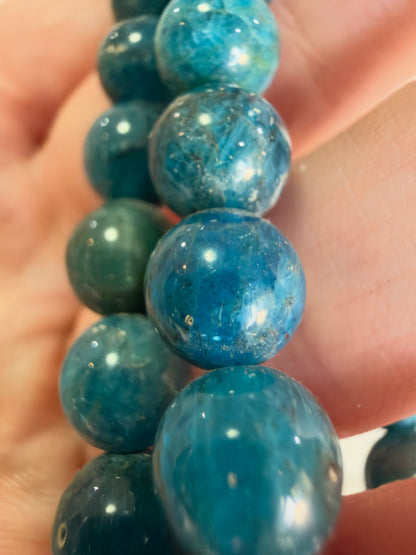 8mm Blue Apatite Bracelet