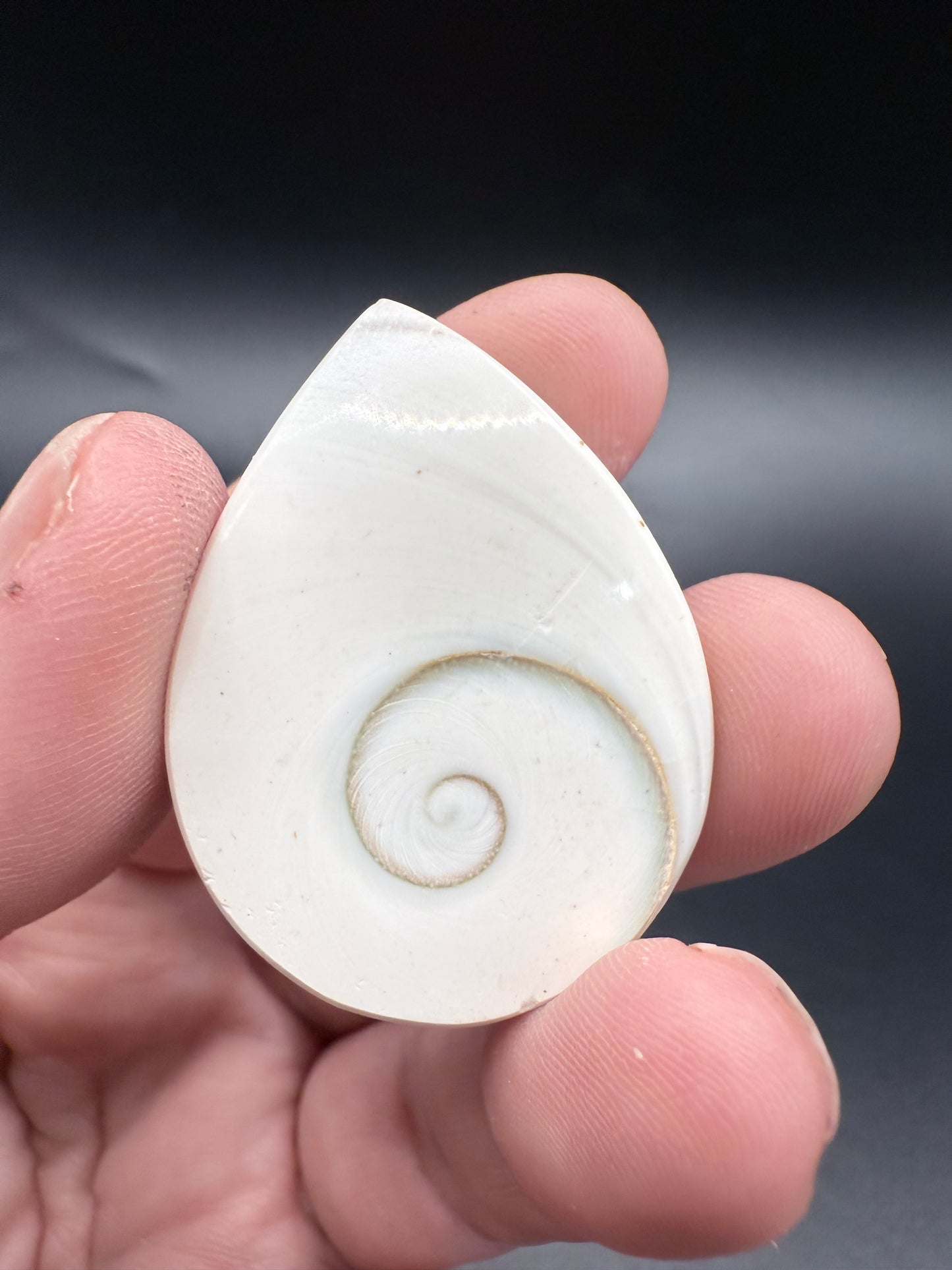 Shiva Eye Teardrop