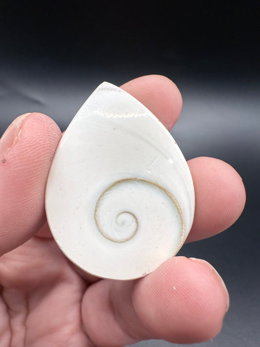 Shiva Eye Teardrop