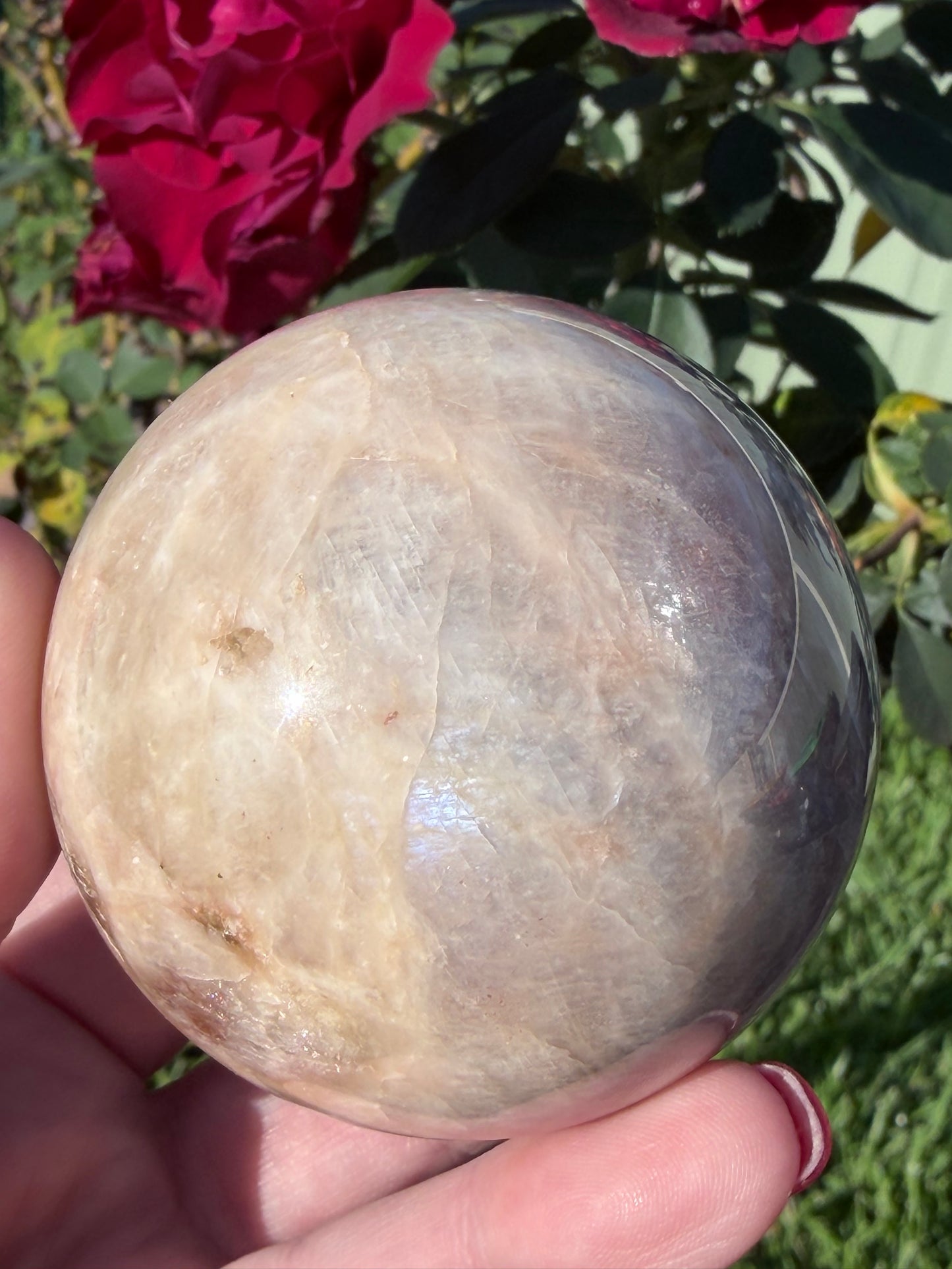 Blue Flash Moonstone Sphere – 6.2cm | 328g