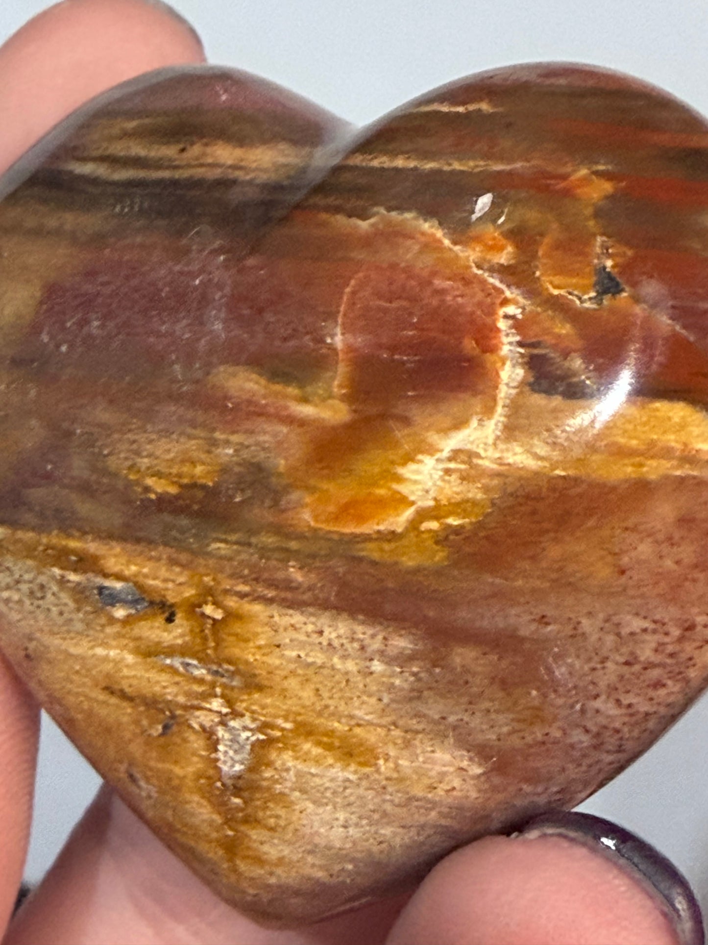 Petrified Wood Heart 🤎 C