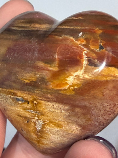 Petrified Wood Heart 🤎 C