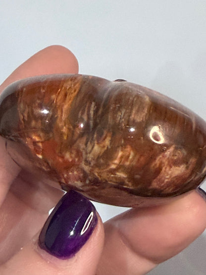 Petrified Wood Heart 🤎 A