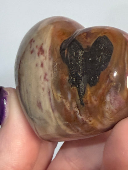 Petrified Wood Heart 🤎 B