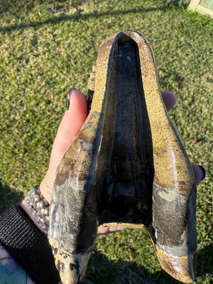 Picture Jasper Dino Skull