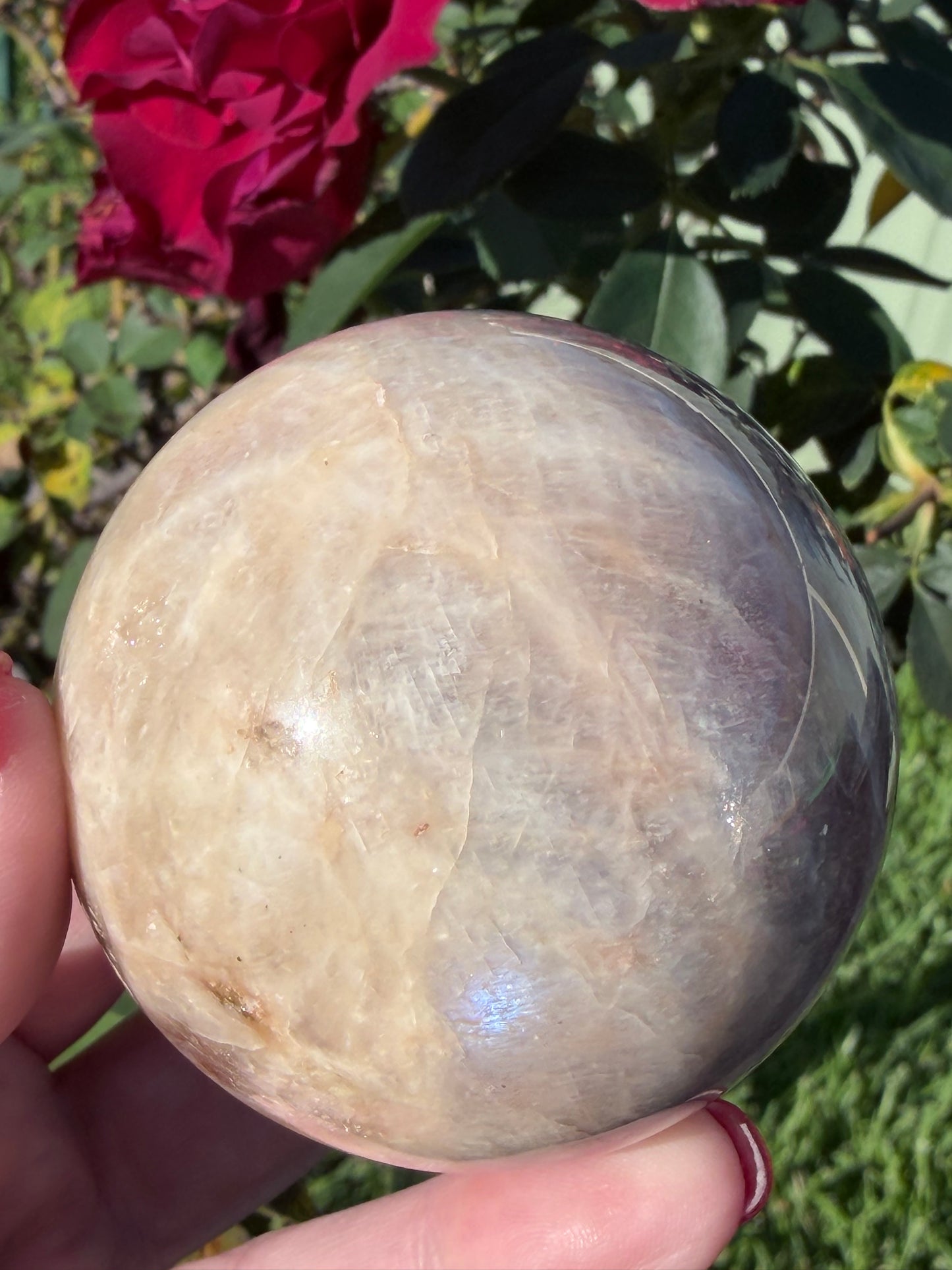 Blue Flash Moonstone Sphere – 6.2cm | 328g
