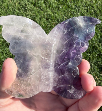 Rare White & Blue Rainbow Fluorite Butterfly Carving 7cm with Stand