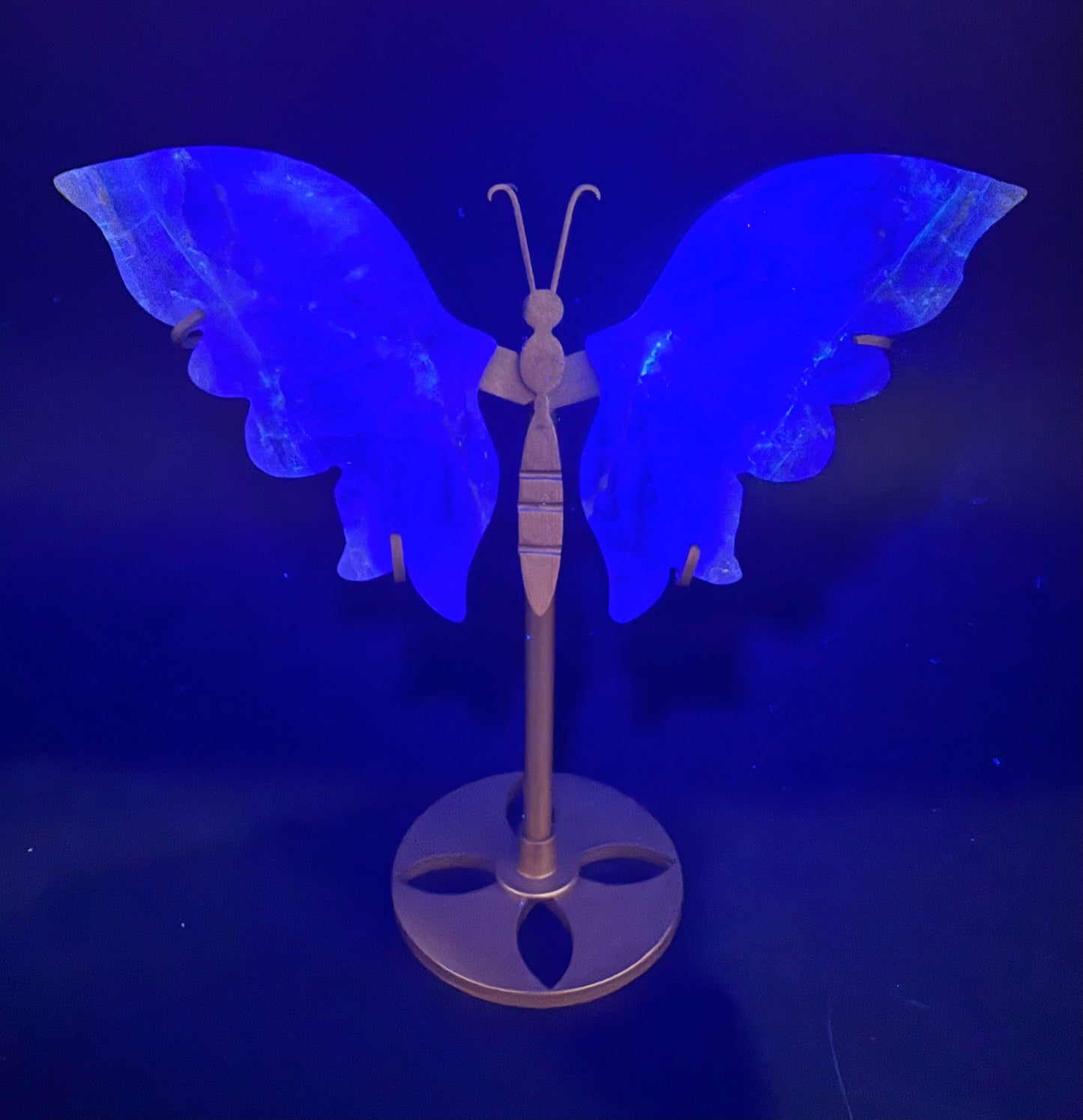 Snowflake Fluorite Butterfly with Stand