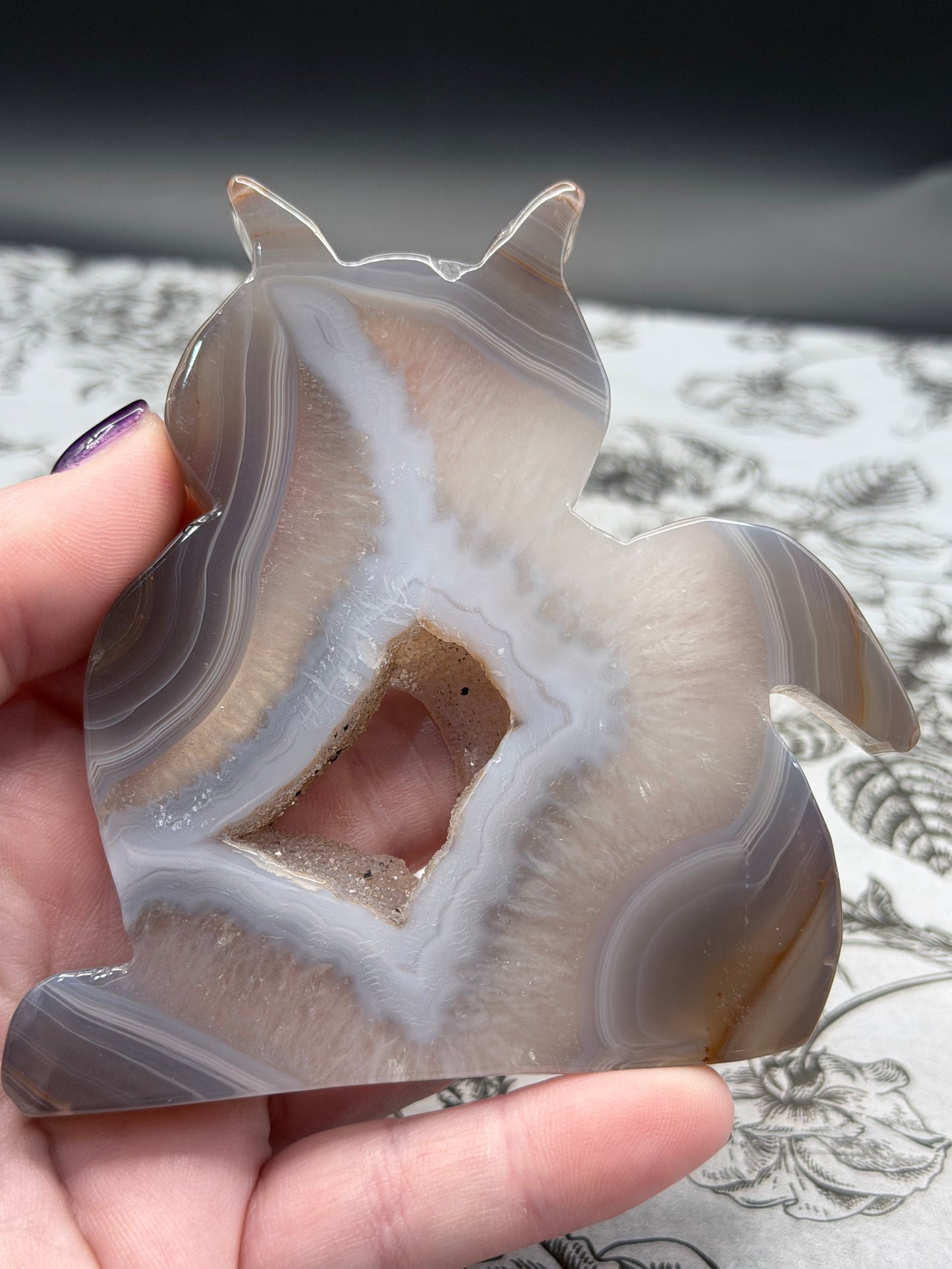 Druzy Banded Agate Cat “Geode Window” — 180g | 9.5 x 9.2cm