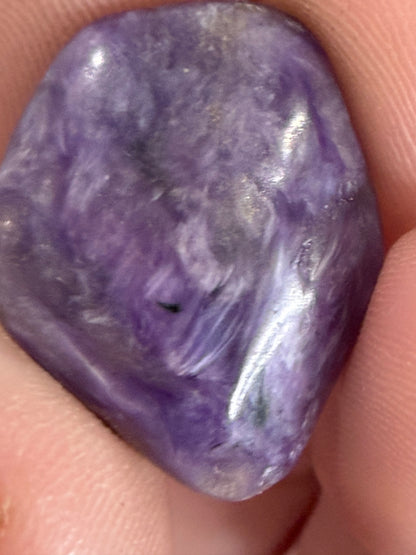Rare Charoite Mini Tumbles