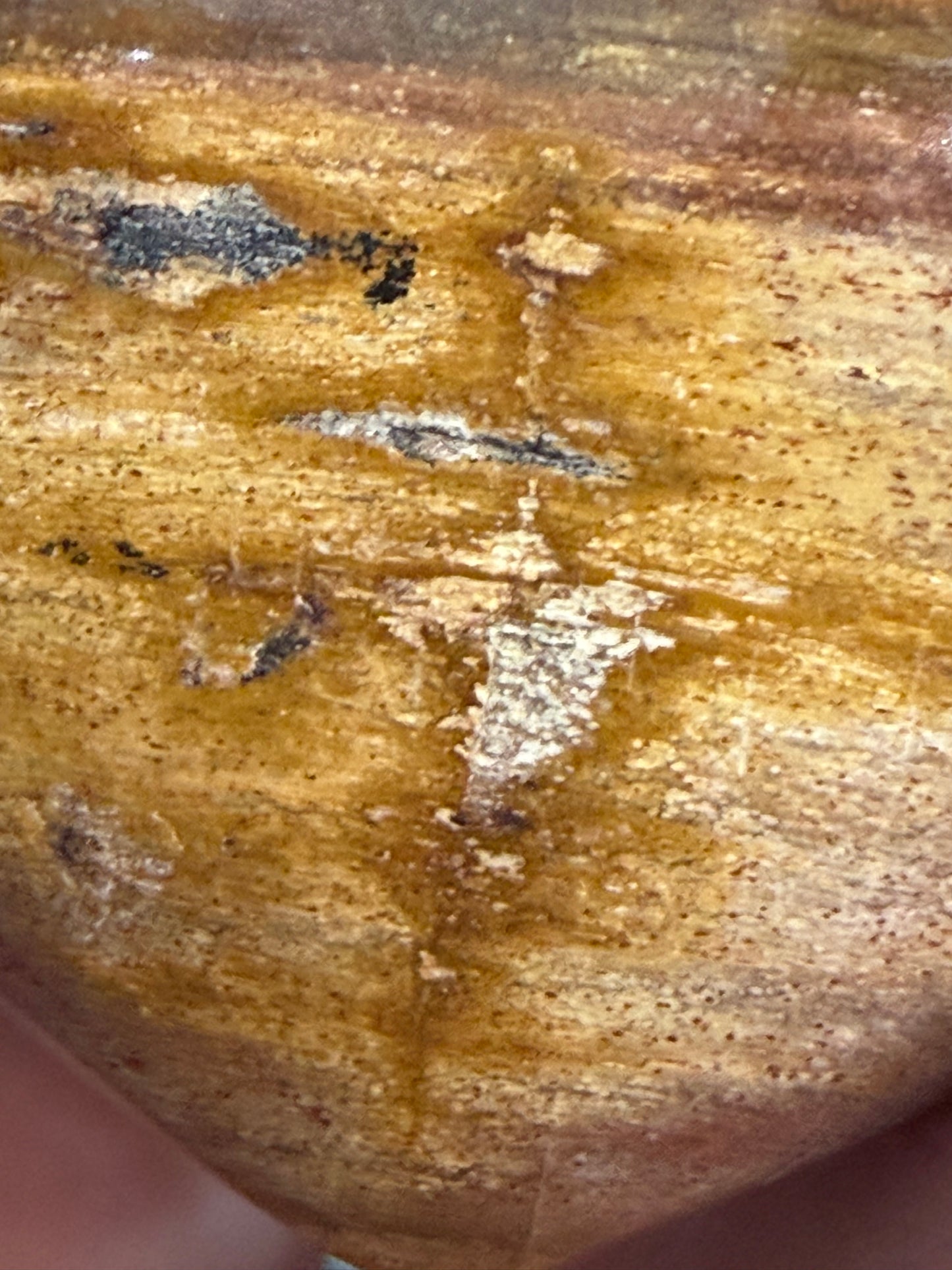 Petrified Wood Heart 🤎 C