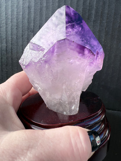 Amethyst Tooth with Custom made stand