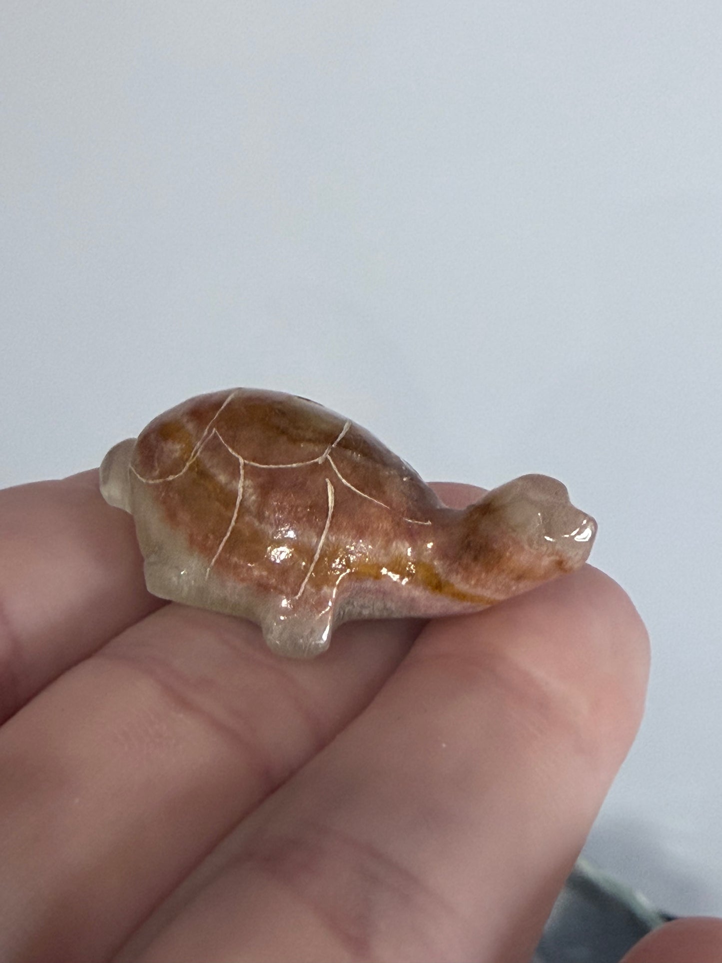 Brown Banded Calcite Turtle Family Carving – Set of 6