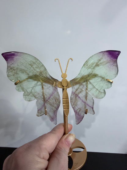 Rainbow Fluorite Butterfly Crystal Display on Stand – 15 cm