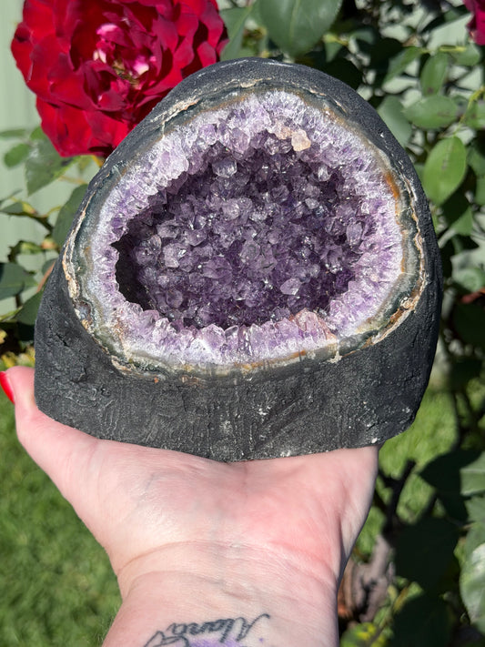 Large Brazilian Amethyst Druzy Cave Geode – 1.9kg