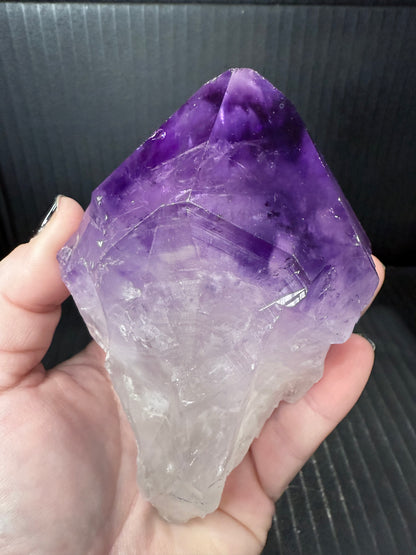 Amethyst Tooth with Custom made stand