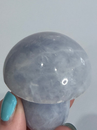 Blue Calcite Mushroom – B