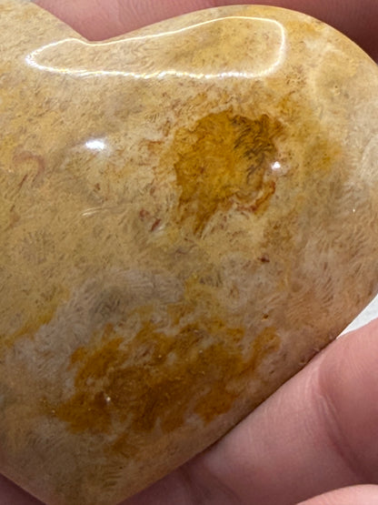 Fossil Coral Heart (85g) – Cream & Honey