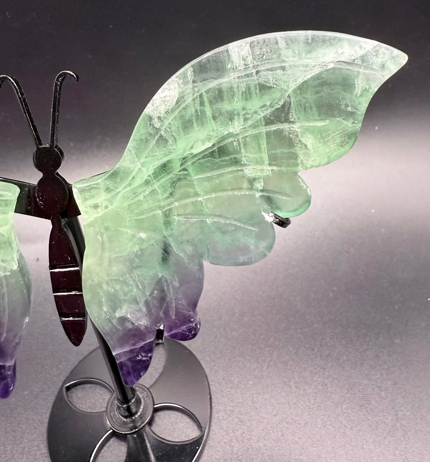 Rainbow Fluorite Butterfly with Stand