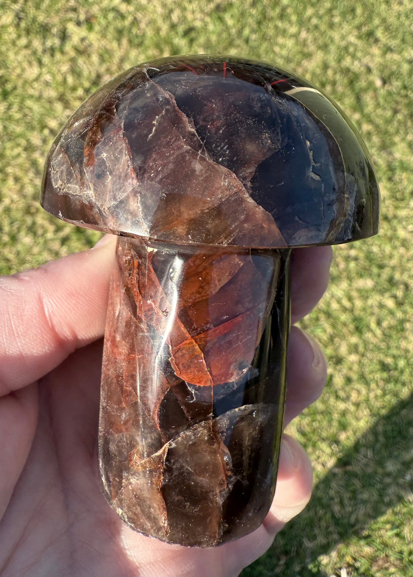 Red Fire Quartz in Smoky Quartz Mushroom