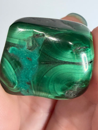 Malachite Polished Tumble – Natural Banded & Orbicular D -
