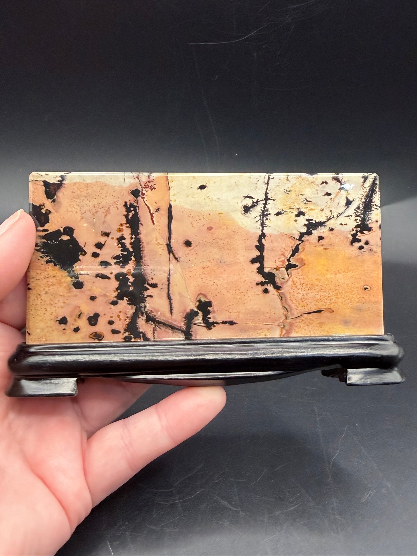 Dendritic Picture Jasper Slab on Stand