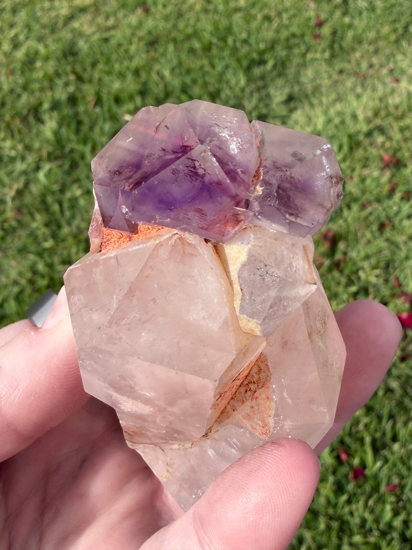 Large Included Amethyst Cluster Point– 215g | 8.5cm