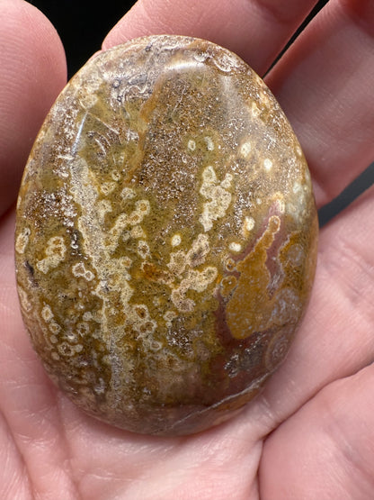 Ocean Jasper Big Palm Stones