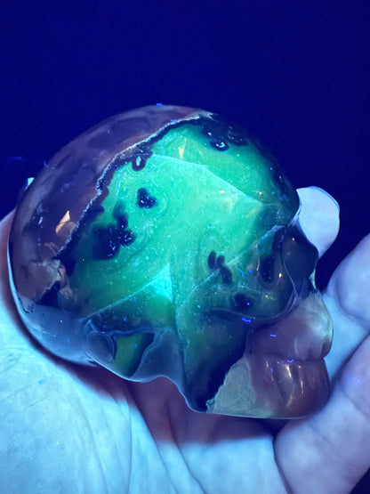 Volcano Agate Skull | 377g