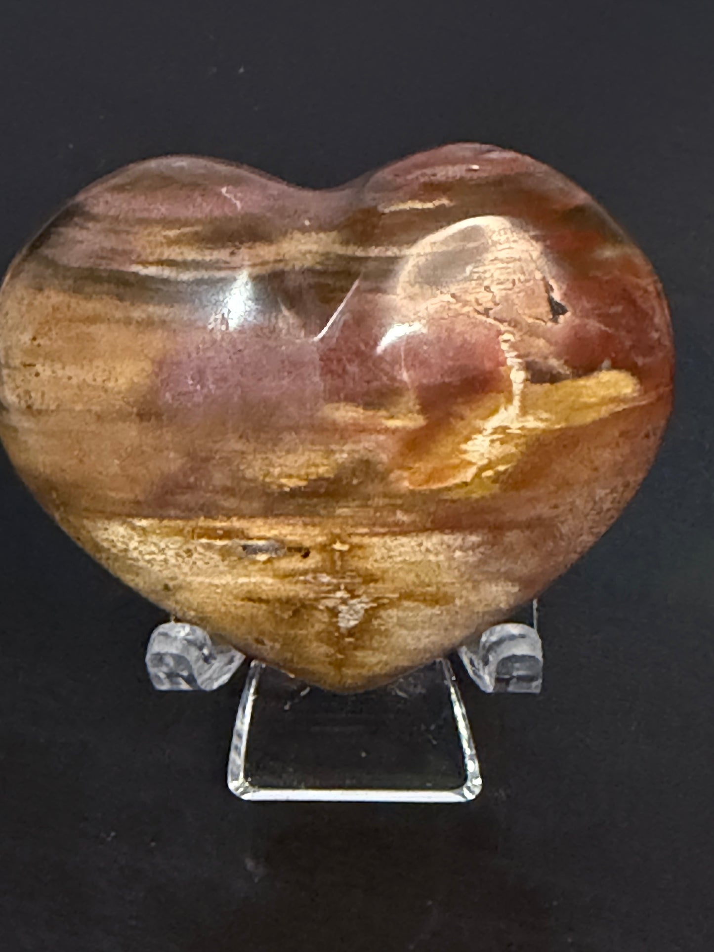 Petrified Wood Heart 🤎 C
