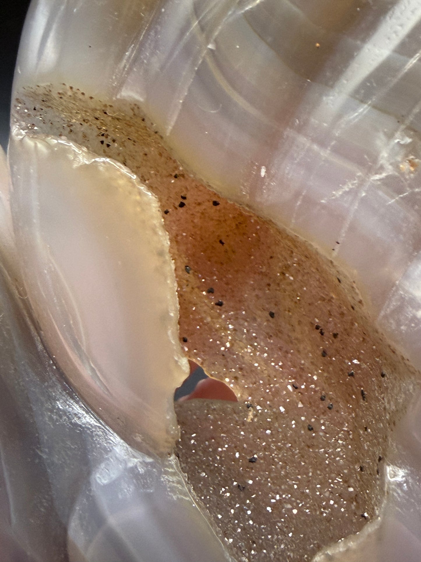 Nine-Tailed Fox Druzy Agate Carving