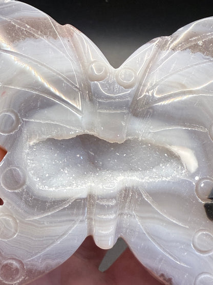 Agate Butterfly with Sparkling Druzy