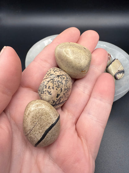 Picture Jasper Tumbles