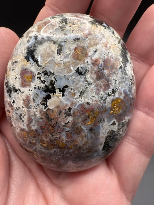 Ocean Jasper Big Palm Stones - Crystal wonderland By Lisa