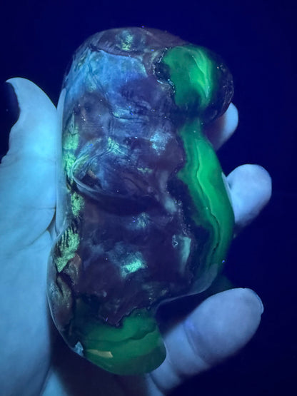 Volcano Agate T-Rex Dino | 365g | 8.5 × 6cm | Druzy Nose