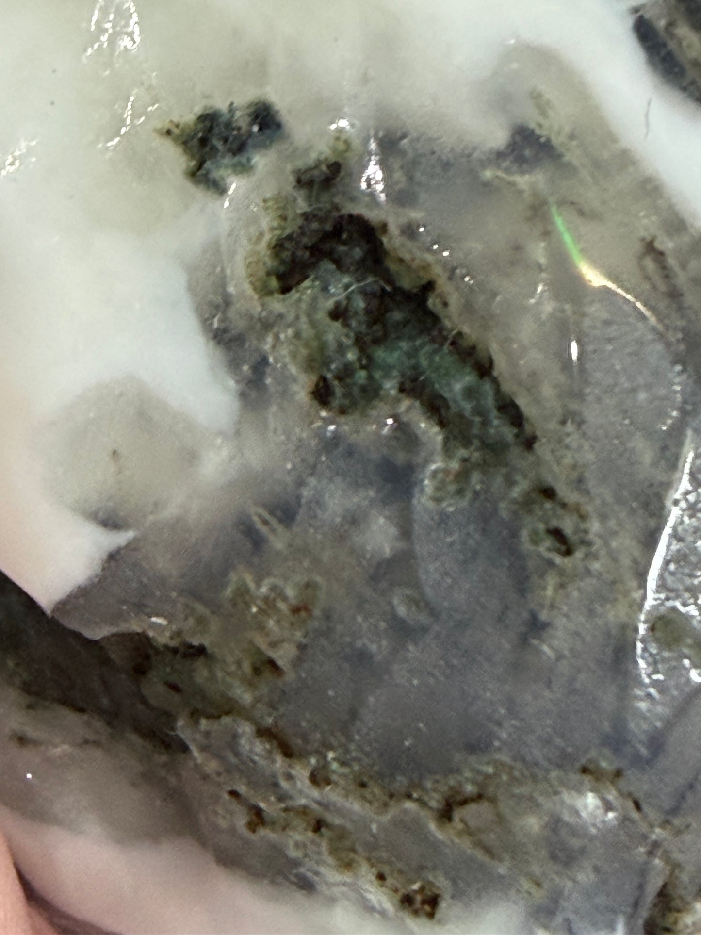 Moss Agate Clam Shell –