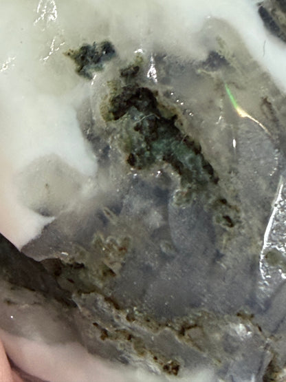 Moss Agate Clam Shell –