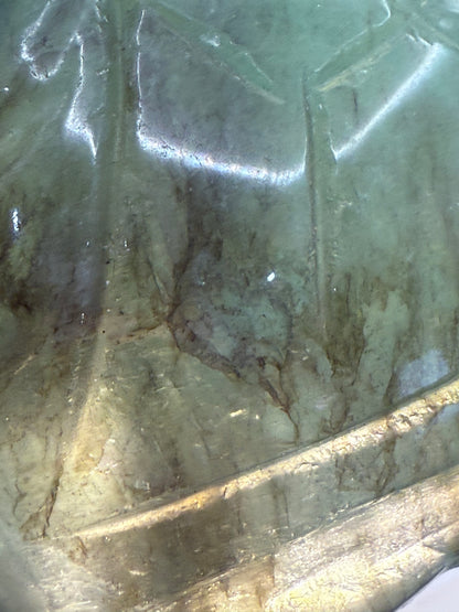 Extra Special Fluorite Turtle with Dendritic Inclusions