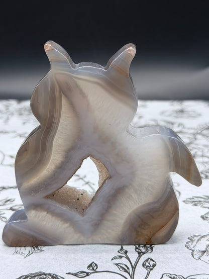 Druzy Banded Agate Cat “Geode Window” — 180g | 9.5 x 9.2cm