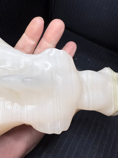 Afghan Jade Dragon Head | 835g