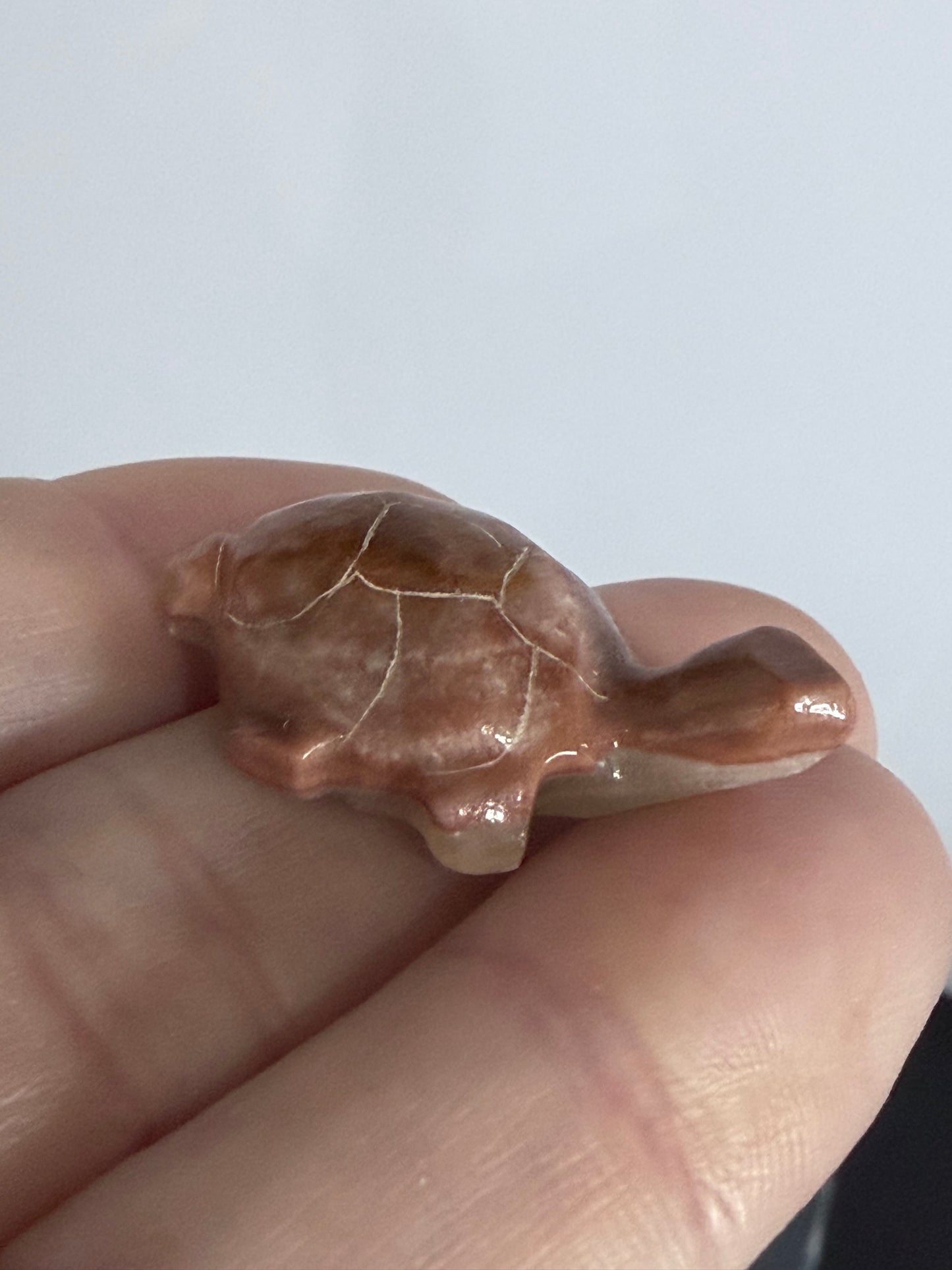 Brown Banded Calcite Turtle Family Carving – Set of 6