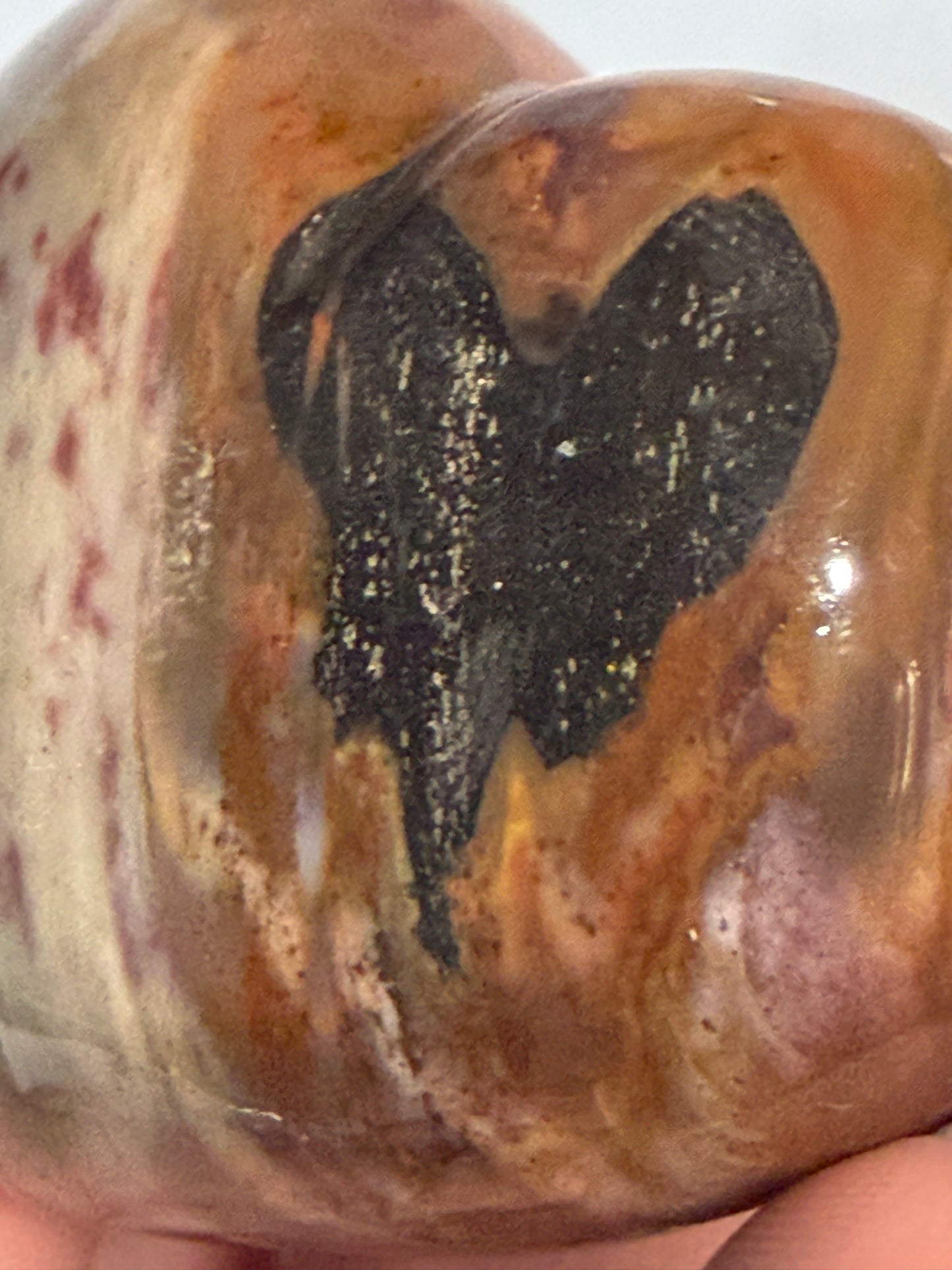 Petrified Wood Heart 🤎 B