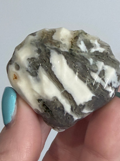 Moss Agate Clam Shell –